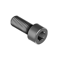 SOCKET HEAD CAP SCREW TPS